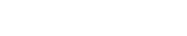 Polygon — blockchain infrastructure partner